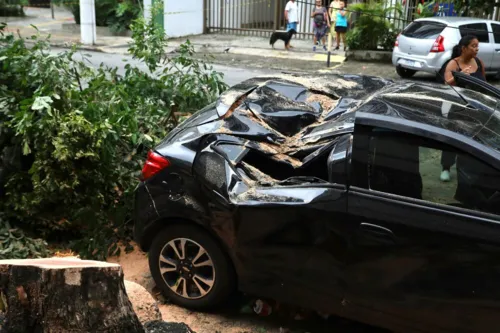 Carro ficou destruído após a queda da árvore