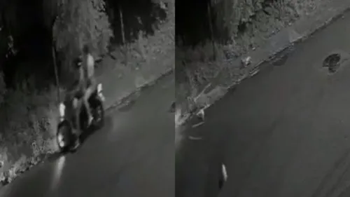 Câmera flagrou momento em que o casal abandona os três gatos