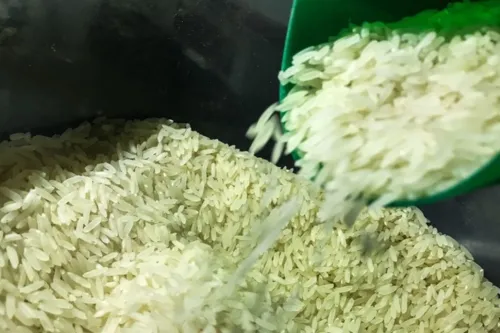 Conab e MAPA anunciaram nesta terça-feira, o cancelamento de um novo leilão de arroz.