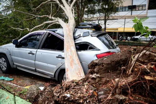 Temporal na noite da última quinta-feira (5) deixou rastros pela cidade