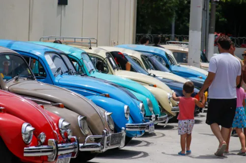 Evento começa às 9h no Mercado Municipal de Niterói