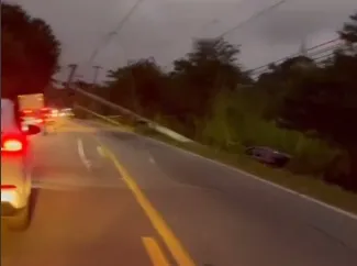 O carro parou no meio da vegetação ao lado da rodovia