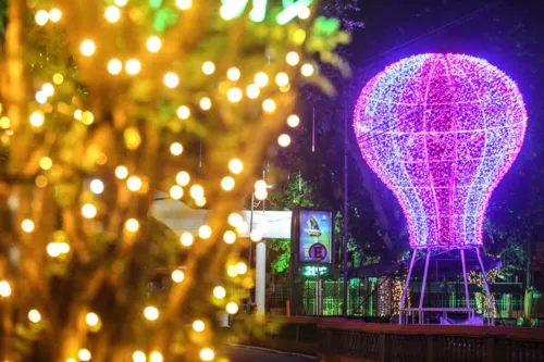 Decoração natalina enfeita diversas áreas de lazer da cidade