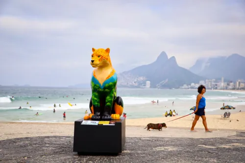 A amostra faz parte do 'Jaguar Parade Rio 2024'