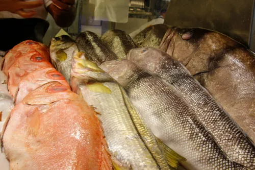 Espaço nunca operacionalizou a comercialização e distribuição do pescado