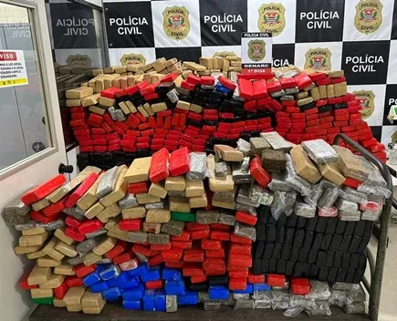 No total, foram apreendidos 1782 tijolos de maconha, além do caminhão utilizado na empreitada