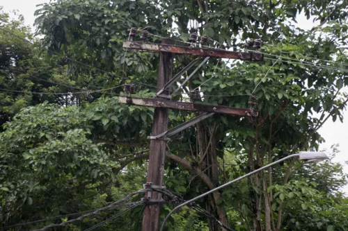 Os galhos estão encostando na fiação elétrica