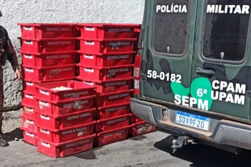 Segundo a polícia, quando a equipe chegou ao endereço, se depararam com 54 caixas de peixe da espécie tainha, cada uma pesando aproximadamente 20 kg.