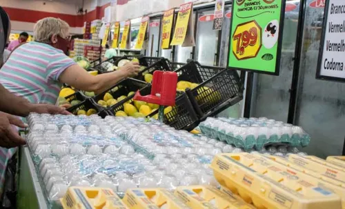 Maior oferta de proteínas no mercado interno explica a queda