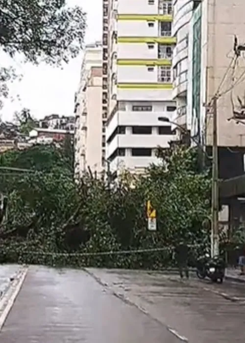 A Rua Doutor Paulo Alves foi interditada