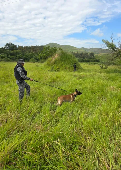 Equipe do Batalhão com Cães realizou buscas em mata próxima ao local do crime