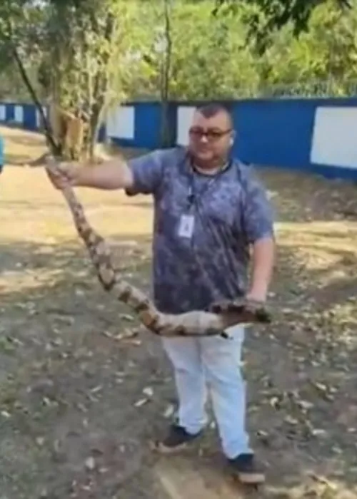 Garis encontraram o réptil durante serviço de limpeza