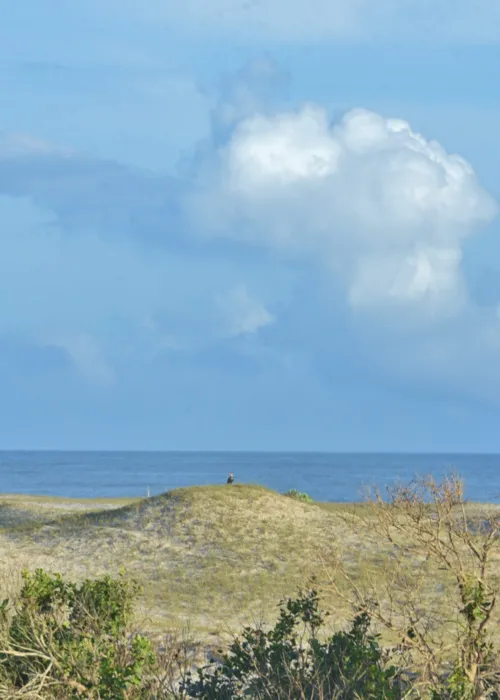 Ondas de até 2,5 metros estão previstas entre Maricá e Arraial