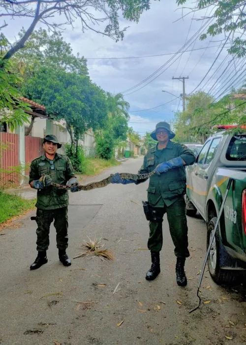 Animal foi resgatado por agentes ambientais da Guarda Municipal