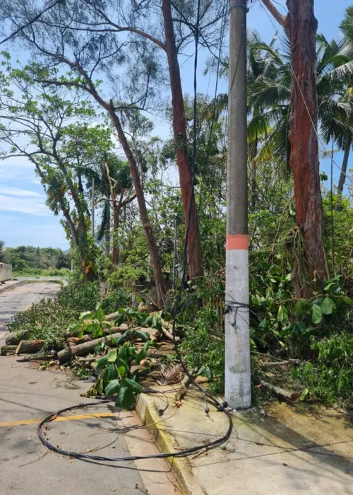 Chuvas que atingiram a cidade na última quinta, provocou queda de fio, árvores e luz