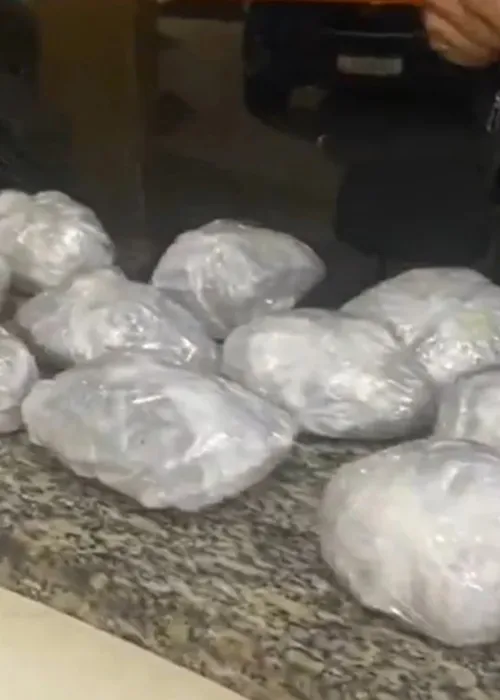 Na ação, os policiais apreenderam 3,015 trouxas de maconha