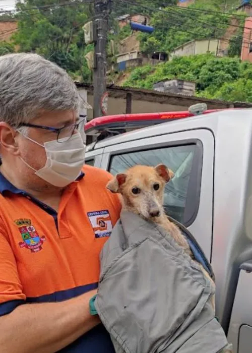 Niterói é a primeira cidade do Estado a ter protocolo de resgate de animais em tragédias naturais