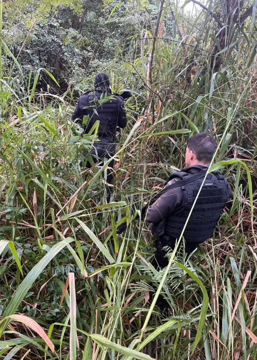 Policiais procuram pistas do cabo Alexandre em mata de Maricá