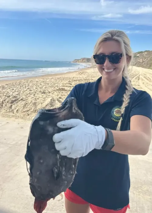 Peixe Futebol foi encontrado por biólogos