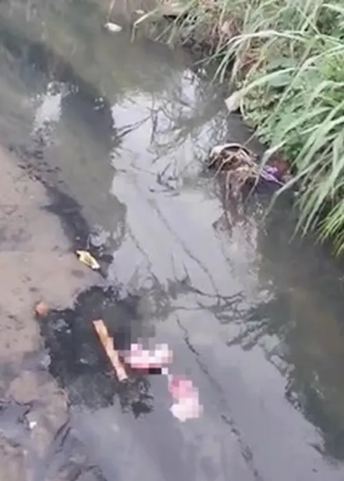 Corpo do recém-nascido estava dentro do Rio Elias