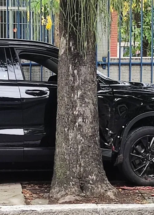 Criminosos ficaram presos dentro do carro, entre uma árvore e um muro