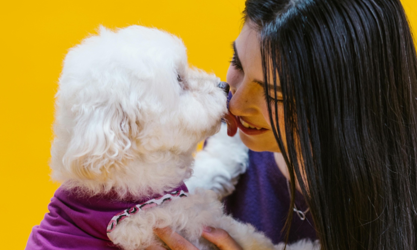 Você tem o hábito de 'beijar seu pet?' O que você precisa saber