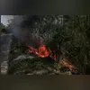Objetivo é intensificar o combate aos incêndios florestais