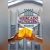 A Orquestra Circonica levou cor e alegria ao mercado