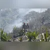 Imagem ilustrativa da imagem Trilha do Morro das Andorinhas é fechada em Niterói