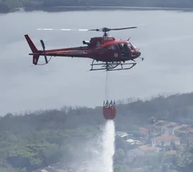 Bombeiros extinguiram mais de 1 mil incêndios florestais no Rio