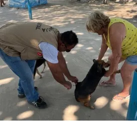 Campanha vacina mais de 52 mil animais em São Gonçalo