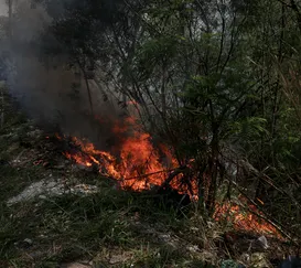 Fogo destrói grande área de vegetação em São Gonçalo; vídeo