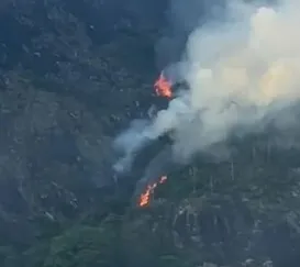 Manhã de incêndios mobiliza bombeiros ao redor do Rio