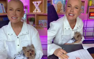 Imagem ilustrativa da imagem Após oito anos, Xuxa anuncia retorno à carreira musical