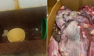 Imagem ilustrativa da imagem Baratas e carne vencida: 6ª denúncia contra supermercado em Niterói