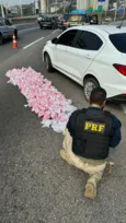 Imagem ilustrativa da imagem Casal é flagrado transportando drogas na Ponte Rio-Niterói