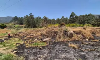 Imagem ilustrativa da imagem Cinco presos acusados de provocar incêndios em matas no Rio