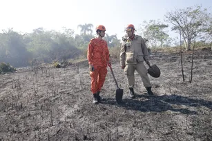 Imagem ilustrativa da imagem Férias de bombeiros são suspensas para combate a queimadas