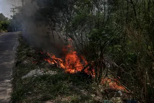 Imagem ilustrativa da imagem Com alta de incêndios florestais, Rio cria gabinete de crise