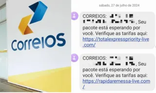 Imagem ilustrativa da imagem Golpe em comprinhas da Shein e Shopee; saiba como se proteger