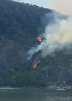 Imagem ilustrativa da imagem Manhã de incêndios mobiliza bombeiros ao redor do Rio