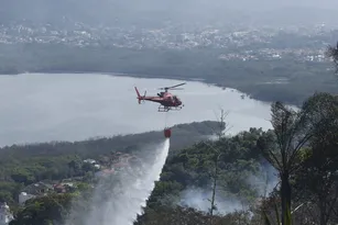 Imagem ilustrativa da imagem Moradores denunciam que incêndio foi criminoso em morro de Niterói