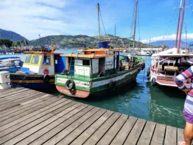 Imagem ilustrativa da imagem PF mira pesca ilegal de camarão em Angra dos Reis