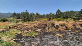 Imagem ilustrativa da imagem Rio já tem mais de 20 investigados por incêndios criminosos