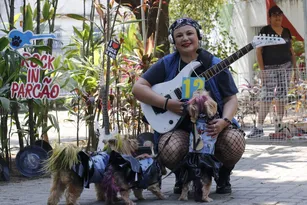 Imagem ilustrativa da imagem Rockão in Niterói: cachorros fantasiados brilham em desfile