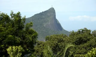 Imagem ilustrativa da imagem Todos os parques do Rio ficarão fechados para visitação; entenda