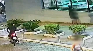 Imagem ilustrativa da imagem Vídeo: jovem implora para bandido não levar seu celular no Rio