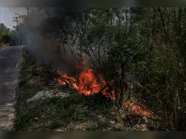 Objetivo é intensificar o combate aos incêndios florestais