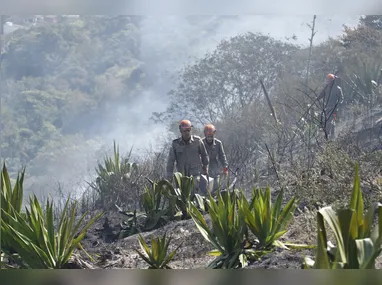 Fogo teria começado em uma vegetação perto de casas