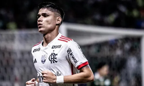 Luiz Araújo é um dos destaques do Flamengo em 2024